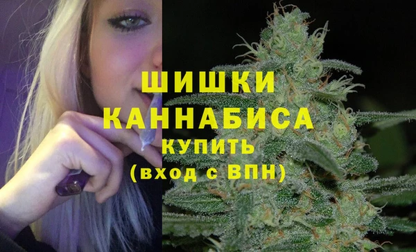 mdpv Бородино