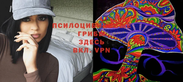 ALPHA-PVP Богородицк