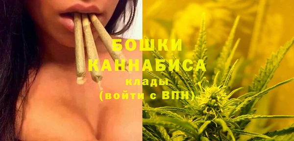 эйфоретик Богородск