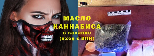 mdpv Бородино