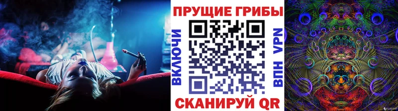 ОМГ ОМГ вход  Балабаново  Галлюциногенные грибы Psilocybine cubensis  хочу  