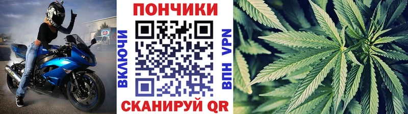 сколько стоит  Балабаново  Бошки Шишки Amnesia 